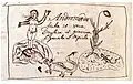 Linnaeus' original drawing