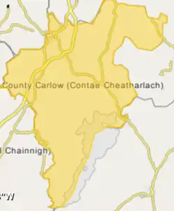 Cathedral of the Assumption is located in County Carlow