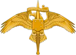 MARSOC Insignia