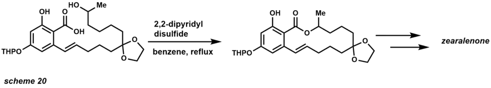 macrolactonization total synthesis example