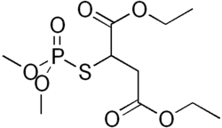 Skeletal formula