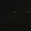 A multicolored Orionid.