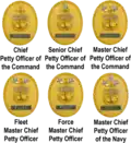 Figure 2: Navy / Force / Fleet / CNO-Directed / Command / Chief of the Boat