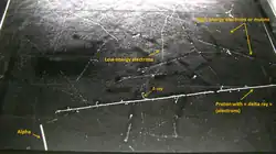 Image taken in the Pic du Midi at 2877&nbsp;m in a Phywe PJ45 cloud chamber (size of surface is 45 × 45 cm). This rare picture shows in a single shot the 4 particles that are detectable in a cloud chamber : proton, electron, muon (probably) and alpha