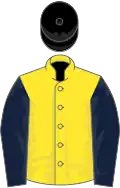 Yellow, dark blue sleeves, black cap