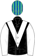 Black, white chevron and sleeves, green and blue striped cap