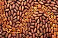 Shelled and unshelled pecans