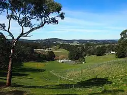 View SE across the Piccadilly Valley from the Mount Lofty Scenic Route. The summit of Mount Barker, 22&nbsp;km away, is visible on the horizon.