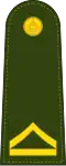 Master Sergeant 3rd Class