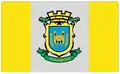 Flag of Rakovski