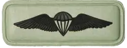 Paratrooper Basic