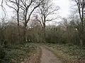 Scadbury Park