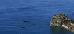 Coreca Reefs