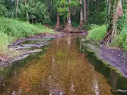 Flow changes along upper Peace River
