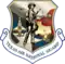 Texas Air National Guard patch