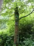 An example of the woodland sculptures