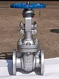 Stainless steel gate valve