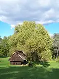Building in Upper Silesian Ethnographic Park