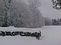 near Amery on a winter morning